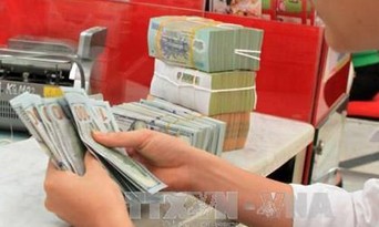  Giá USD tại Vietcombank sáng nay 18/5 giảm 5 đồng. Ảnh minh họa: Trần Việt/TTXVN.