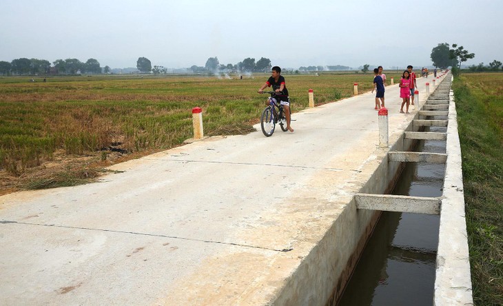 Nhiều gói thầu quy mô nhỏ tại huyện Ia Pa (tỉnh Gia Lai) có hồ sơ mời thầu yêu cầu hợp đồng tương tự với giá trị xấp xỉ hoặc bằng giá gói thầu. Ảnh minh họa: Tiên Giang