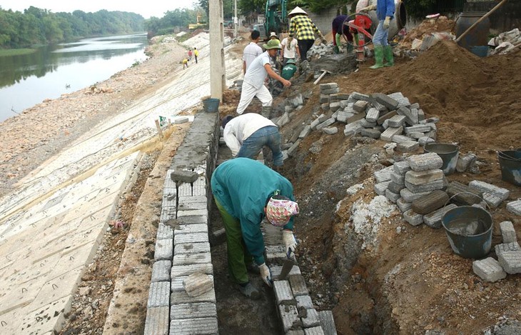 Từ năm 2016 đến nay, Công ty CP Xây dựng và Cây xanh Hà Đô được công bố trúng 18 gói thầu. Ảnh minh họa: Nhã Chi