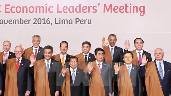 Chủ tịch nước Trần Đại Quang khẳng định, đăng cai Năm APEC 2017 là trọng tâm đối ngoại của Việt Nam đến năm 2020 Ảnh: TTXVN
