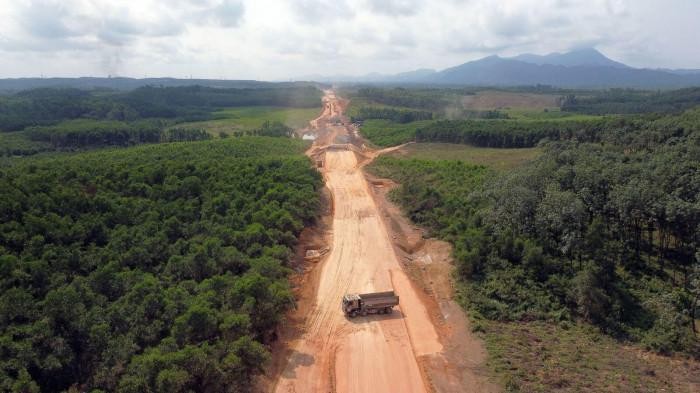 Xem xét chuyển mục đích hơn 85 ha rừng làm cao tốc Quảng Ngãi - Hoài Nhơn