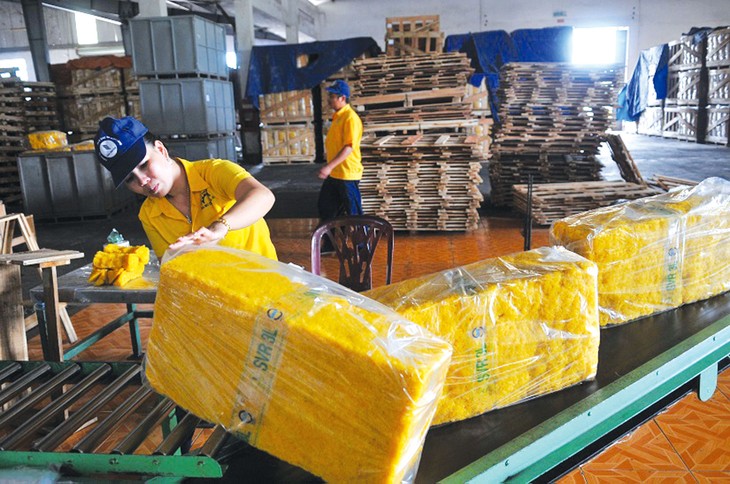 Dịch cúm nCoV làm dấy lên nỗi lo kinh tế Trung Quốc suy giảm, ảnh hưởng đến nhu cầu nhập khẩu cao su của quốc gia này. Ảnh: Nam Việt