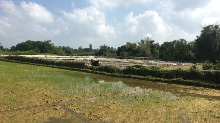 Gói thầu thi công mương thoát nước ở Quảng Nam: Tranh cãi về hợp đồng tương tự