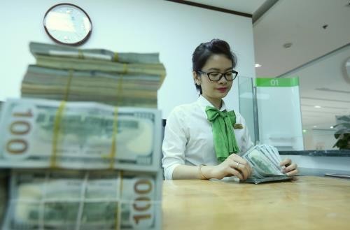 Giá USD tại Vietcombank sáng 1/11 không đổi. Ảnh minh họa: TTXVN