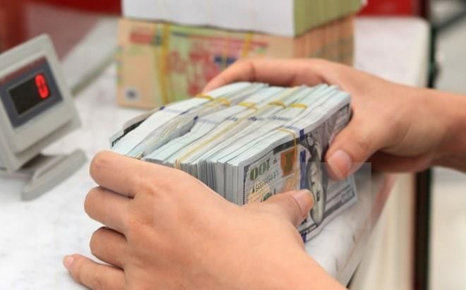 Giá USD hôm nay 24/12 tại Vietcombank tăng 5 đồng. Ảnh: TTXVN