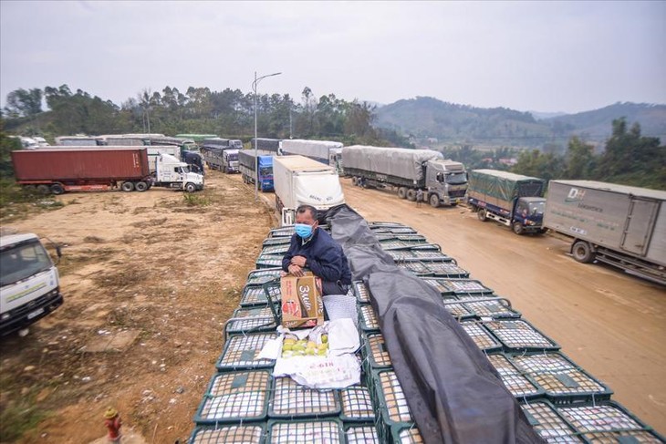 Lạng Sơn tạm dừng tiếp nhận phương tiện chở hoa quả tươi lên cửa khẩu từ 17/01/2022