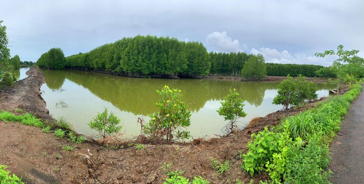Gói thầu số 69 Bảo hiểm công trình xây dựng Hồ chứa nước ngọt do Sở Nông nghiệp và Phát triển nông thôn tỉnh Cà Mau làm chủ đầu tư. Ảnh minh họa: Tiên Giang