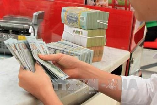 Giá USD hôm nay 13/5 tại Vietcombank tăng 10 đồng. Ảnh minh họa: Trần Việt/TTXVN.
