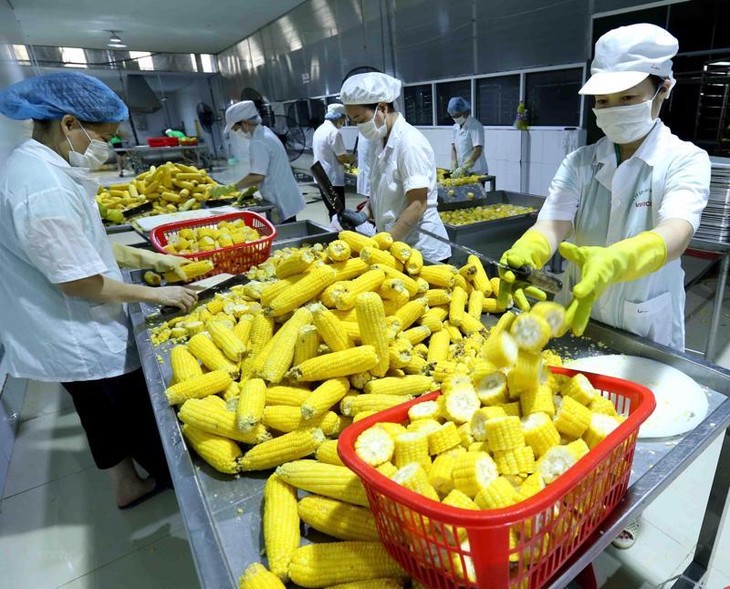Các nước nhập khẩu ngày càng thắt chặt kiểm soát an toàn thực phẩm.