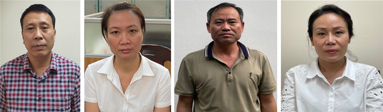 Bắt tạm giam giám đốc Ban thuộc Sở Xây dựng Hà Nội trong vụ nâng giá cây xanh ở Hà Nội ảnh 1
