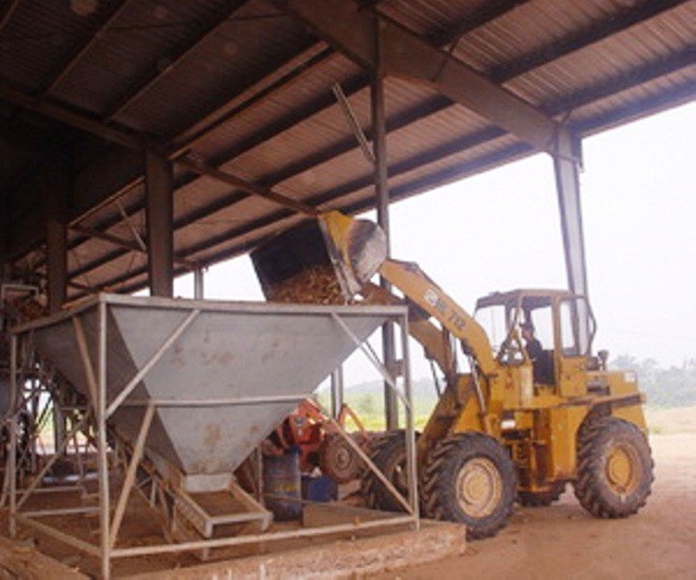 Nhà máy chế biến tinh bột sắn xuất khẩu Bình Định bị tạm dừng hoạt động vì chưa đủ điều kiện đảm bảo về môi trường.