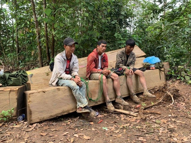 Đắk Lắk: Vận chuyển gỗ từ rừng nguyên sinh, nhóm lâm tặc bị bắt tại trận ảnh 2