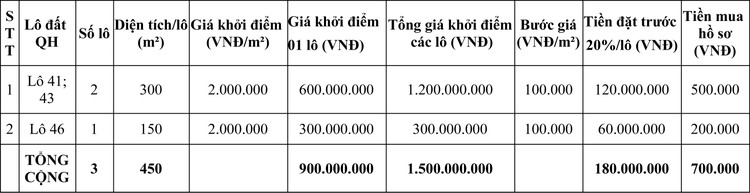 Ngày 2/10/2020, đấu giá quyền sử dụng đất tại thị xã Phổ Yên, tỉnh Thái Nguyên ảnh 3