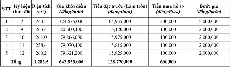 Ngày 5/10/2020, đấu giá quyền sử dụng đất tại huyện Krông Nô, tỉnh Đăk Nông ảnh 1