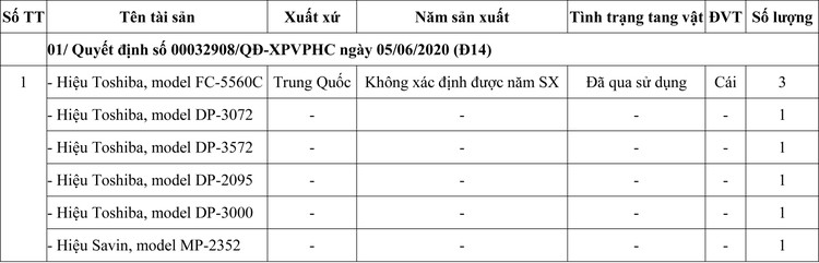 Ngày 7/10/2020, đấu giá tang vật vi phạm hành chính tịch thu tại TPHCM ảnh 3