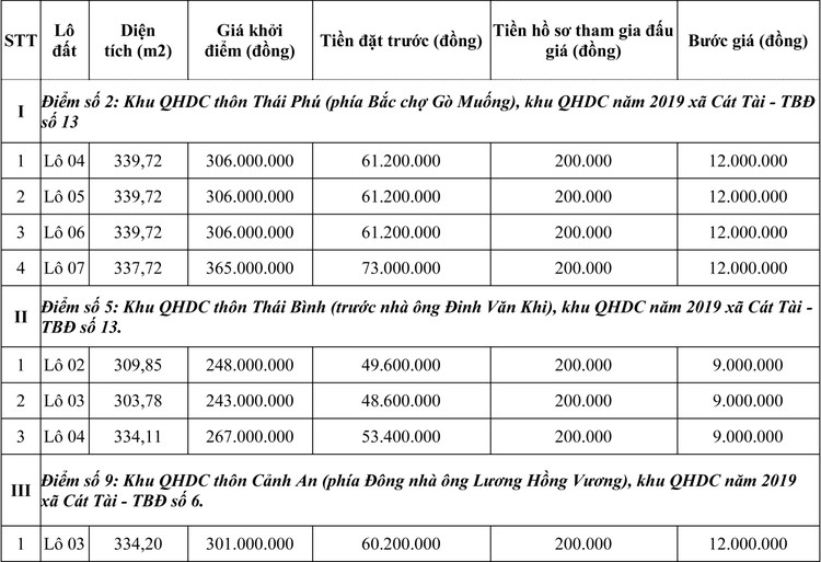 Ngày 23/10/2020, đấu giá quyền sử dụng đất tại huyện Phù Cát, tỉnh Bình Định ảnh 1
