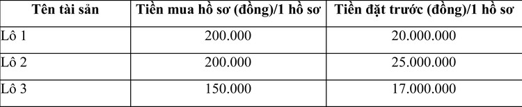 Ngày 30/10/2020, đấu giá tang vật vi phạm hành chính bị tịch thu tại tỉnh Khánh Hòa ảnh 4