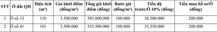 Ngày 9/11/2020, đấu giá quyền sử dụng đất tại thành phố Sông Công, tỉnh Thái Nguyên ảnh 1