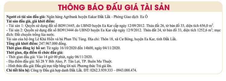 Ngày 6/11/2020, đấu giá quyền sử dụng đất tại huyện Eakar, tỉnh Đắk Lắk ảnh 1