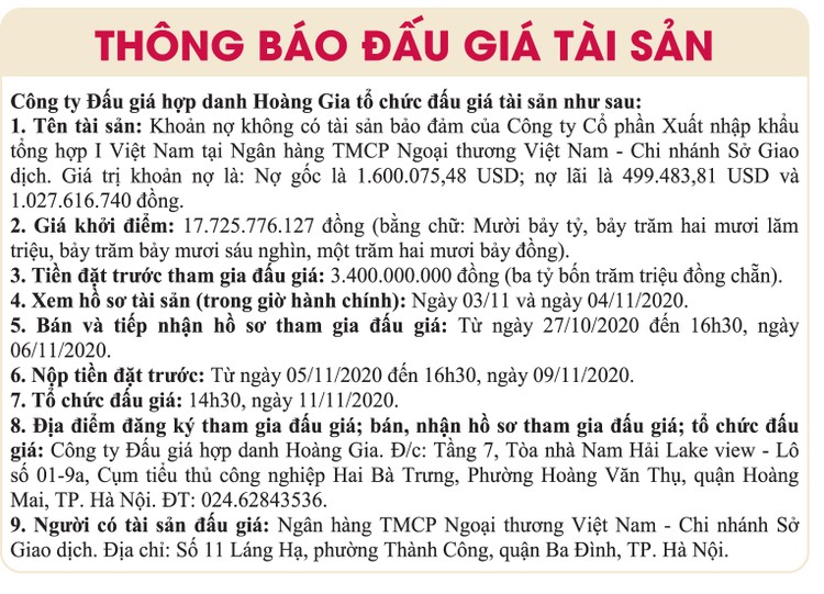 Ngày 11/11/2020, đấu giá khoản nợ của Công ty CP XNK tổng hợp 1 Việt Nam tại VCB Chi nhánh Sở giao dịch ảnh 1