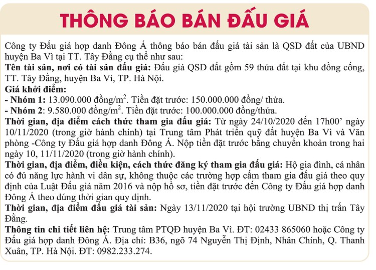 Ngày 13/11/2020, đấu giá quyền sử dụng đất tại huyện Ba Vì, Hà Nội ảnh 1