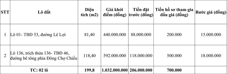 Ngày 6/11/2020, đấu giá quyền sử dụng đất tại huyện Phù Cát, tỉnh Bình Định ảnh 1