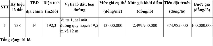 Ngày 14/12/2020, đấu giá quyền sử dụng đất tại thành phố Huế, tỉnh Thừa Thiên Huế ảnh 1