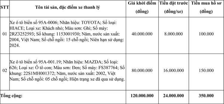 Ngày 8/2/2021, đấu giá 02 xe ô tô thanh lý tại tỉnh Hậu Giang ảnh 1