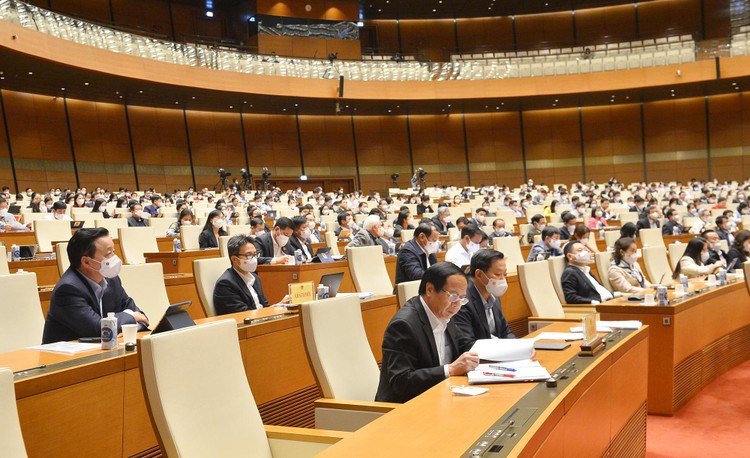 Ngày 12/11, Quốc hội biểu quyết thông qua 3 nghị quyết và 2 dự án Luật ảnh 3