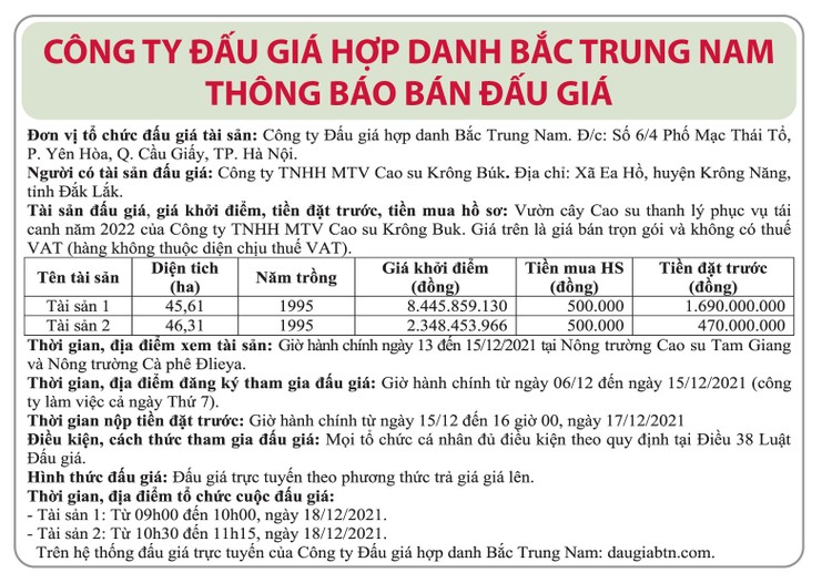 Ngày 18/12/2021, đấu giá vườn cây cao su thanh lý tại tỉnh Đắk Lắk ảnh 1