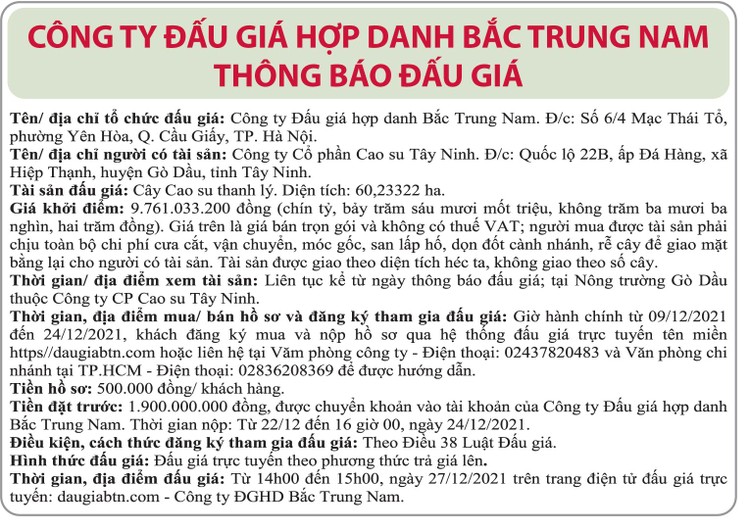 Ngày 27/12/2021, đấu giá cây cao su thanh lý tại tỉnh Tây Ninh ảnh 1