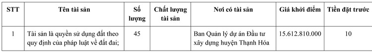 Ngày 13/1/2022, đấu giá quyền sử dụng 45 lô đất tại huyện Thạnh Hóa, tỉnh Long An ảnh 1