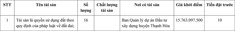Ngày 13/1/2022, đấu giá quyền sử dụng 16 lô đất tại huyện Thạnh Hóa, tỉnh Long An ảnh 1