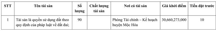 Ngày 13/1/2022, đấu giá quyền sử dụng 90 lô đất tại huyện Mộc Hóa, tỉnh Long An ảnh 1