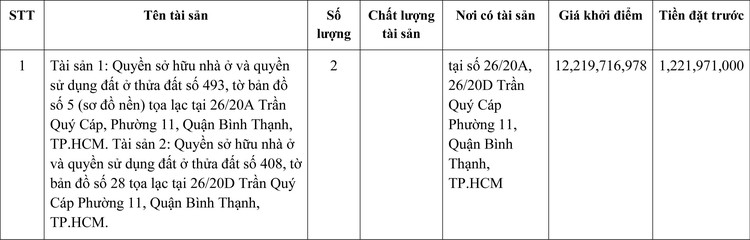 Ngày 24/12/2021, đấu giá quyền sử dụng đất tại quận Bình Thạnh, TP.HCM ảnh 1