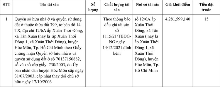 Ngày 29/12/2021, đấu giá quyền sử dụng đất tại huyện Hóc Môn, TP.HCM ảnh 4