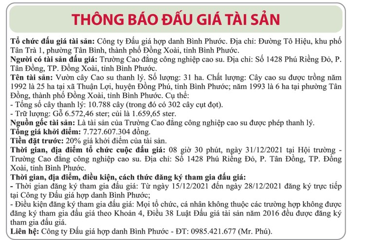 Ngày 31/12/2021, đấu giá 10.788 cây cao su thanh lý tại tỉnh Bình Phước ảnh 1