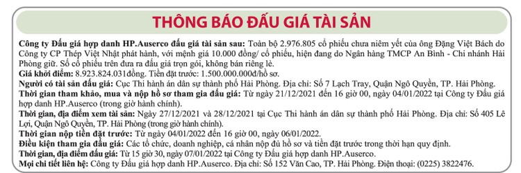 Ngày 7/1/2022, đấu giá toàn bộ 2.976.000 cổ phiếu Công ty CP Thép Việt Nhật ảnh 1