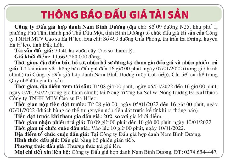 Ngày 10/1/2022, đấu giá 70,41 ha vườn cây cao su thanh lý tại tỉnh Đắk Lắk ảnh 1