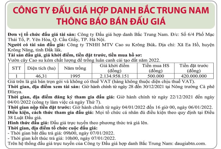 Ngày 7/1/2022, đấu giá vườn cây cao su kém chất lượng tại tỉnh Đắk Lắk ảnh 1