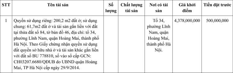 Ngày 14/1/2022, đấu giá quyền sử dụng đất tại quận Hoàng Mai, Hà Nội ảnh 1