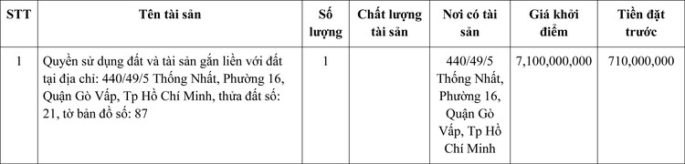 Ngày 14/1/2022, đấu giá quyền sử dụng đất tại quận Gò Vấp, Tp Hồ Chí Minh ảnh 1