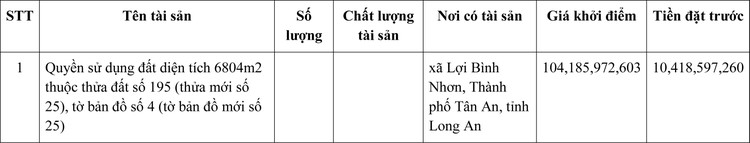 Ngày 30/12/2021, đấu giá quyền sử dụng đất tại thành phố Tân An, tỉnh Long An ảnh 1
