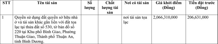 Ngày 17/3/2022, đấu giá quyền sử dụng đất tại thành phố Thuận An, tỉnh Bình Dương ảnh 1