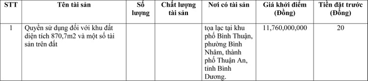 Ngày 17/3/2022, đấu giá quyền sử dụng đất tại thành phố Thuận An, tỉnh Bình Dương ảnh 1