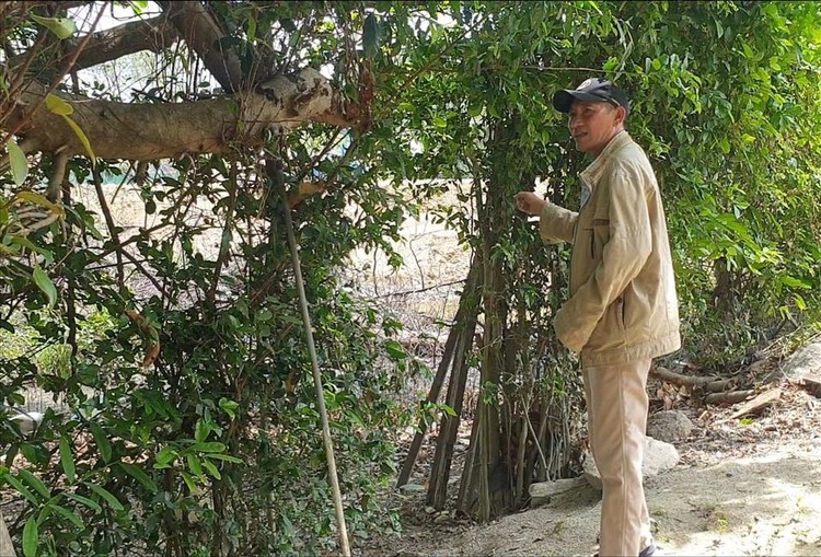 Chưa đền bù đã san ủi đất, dự án "triệu đô" ở Nha Trang phải xin lỗi dân ảnh 2