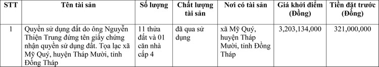 Ngày 17/3/2022, đấu giá quyền sử dụng đất tại huyện Tháp Mười, tỉnh Đồng Tháp ảnh 1