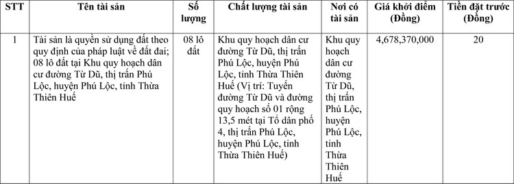 Ngày 25/3/2022, đấu giá quyền sử dụng đất tại huyện Phú Lộc, tỉnh Thừa Thiên Huế ảnh 1