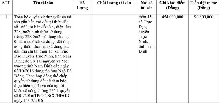 Ngày 11/3/2022, đấu giá quyền sử dụng đất tại huyện Trực Ninh, tỉnh Nam Định ảnh 1