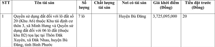 Ngày 11/3/2022, đấu giá quyền sử dụng đất tại huyện Bù Đăng, tỉnh Bình Phước ảnh 1